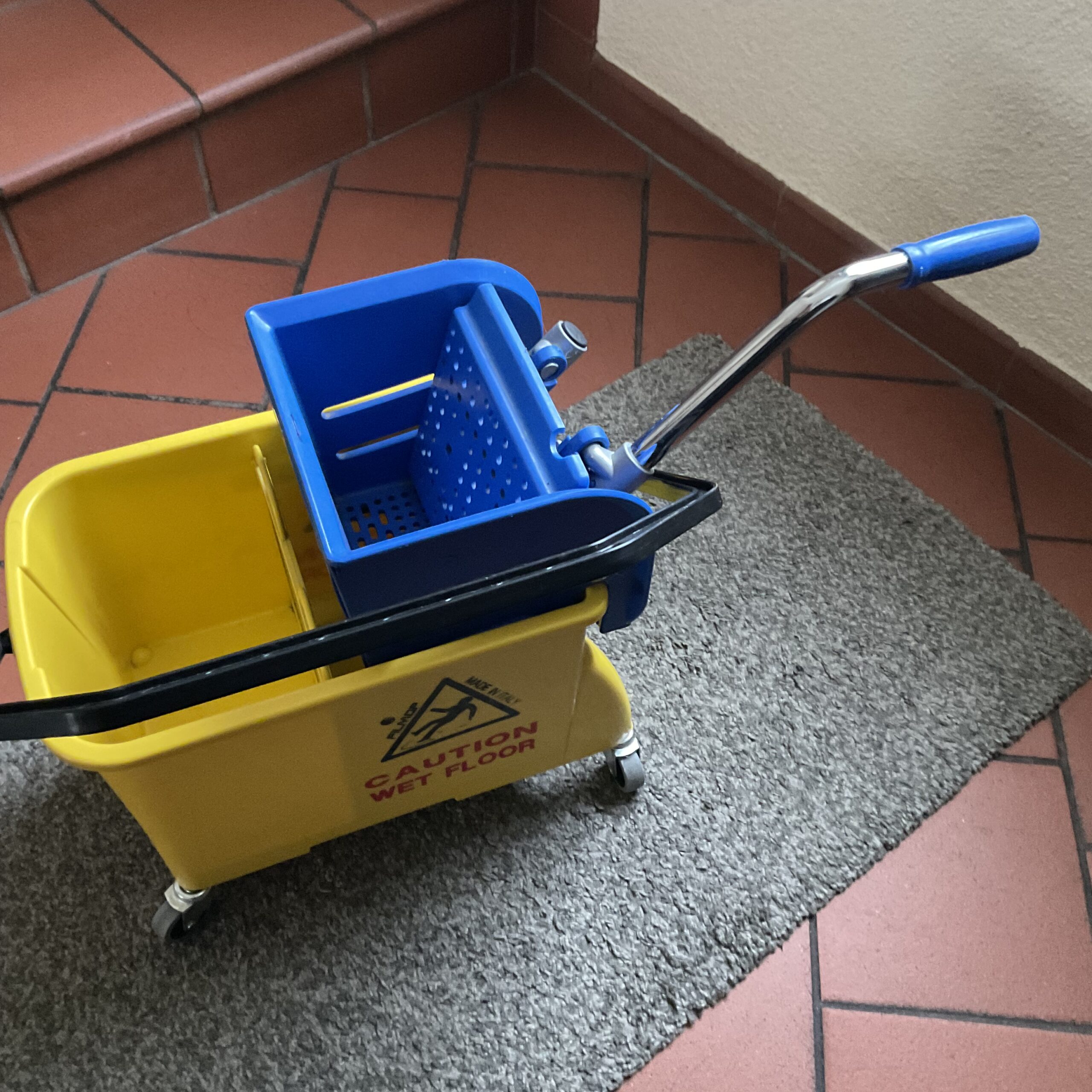 Putzwagen Ebnat Profi