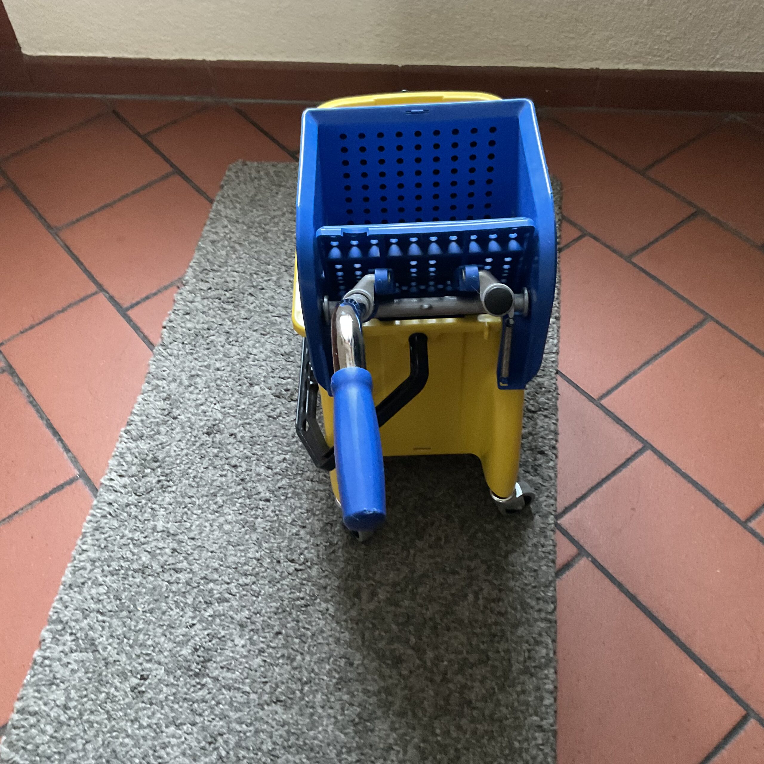 Putzwagen Ebnat Profi