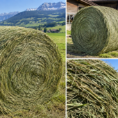 Heu in Rundballen (erster und zweiter Schnitt)